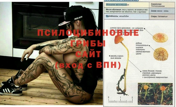 наркотики Вязьма